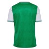 Maillot de Foot AS Saint-Etienne Domicile 2025-26